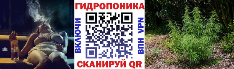 Наркошоп купить ТГК  Меф мяу мяу  Гашиш  Бошки Шишки  АМФЕТАМИН  Ленинградская