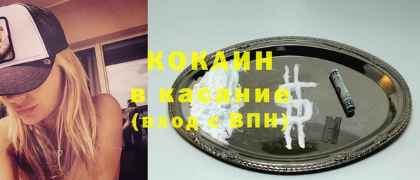 стаф Богородицк