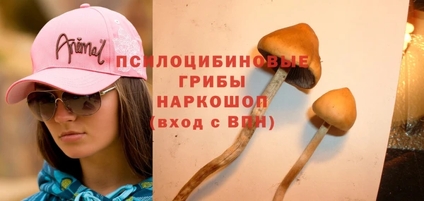 стаф Богородицк