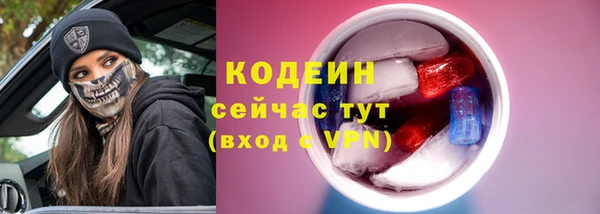 стаф Богородицк