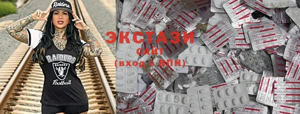 индика Богданович