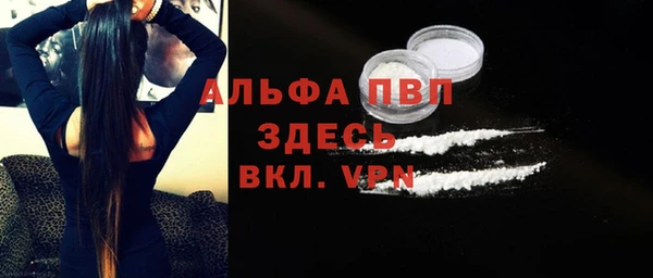 индика Богданович
