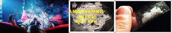 индика Богданович
