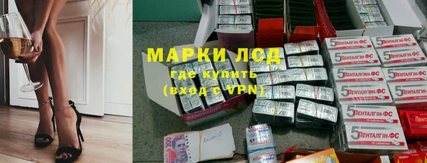 стаф Богородицк