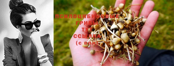 стаф Богородицк