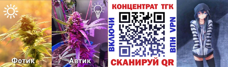 Купить закладки  Ленинградская  Дистиллят ТГК концентрат 